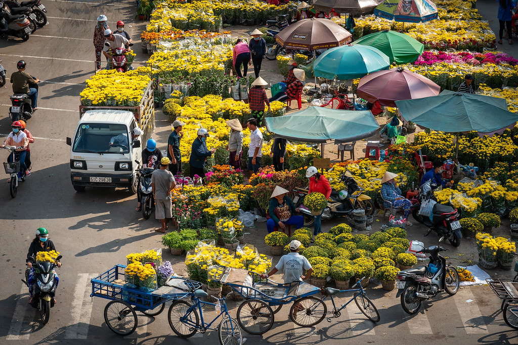 hoạt động du xuân 
